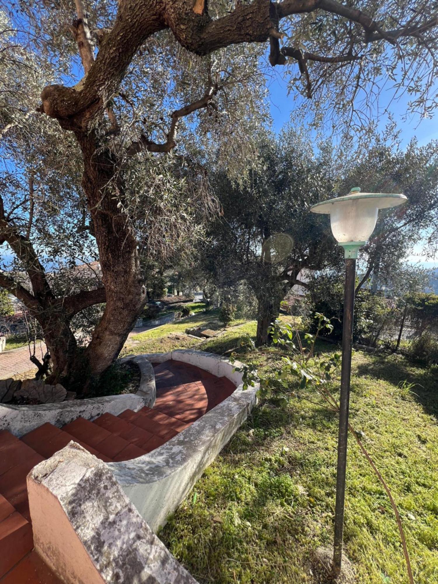 Villa In Collina Vista Mare Sanremo Eksteriør bilde